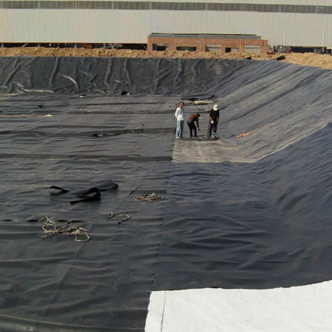 shrimp fish artificial lake hdpe liner aquaponics pond liner