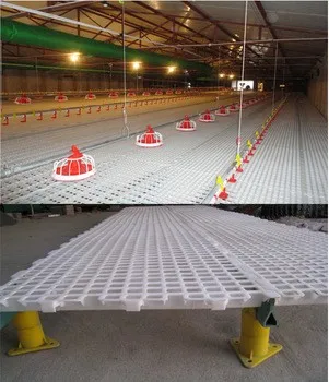 Chicken broiler farm house design chicken farm shed building