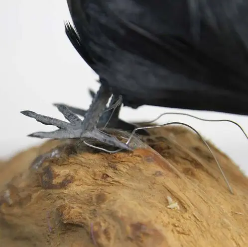 Black Crow Realistic Feather Artificial Bird Crafts Halloween Party Crow Decoration