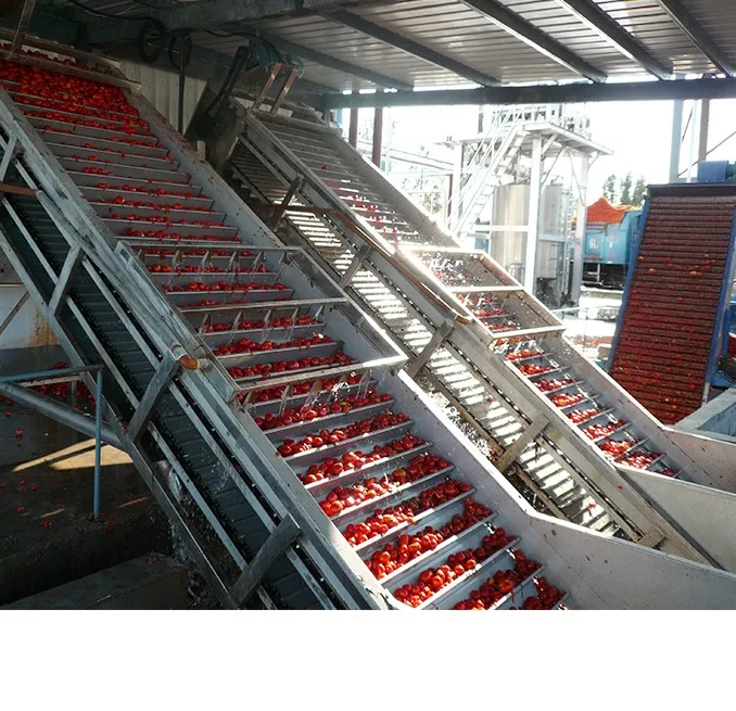 March expo Hot sale automatic tomato paste production line processing machine