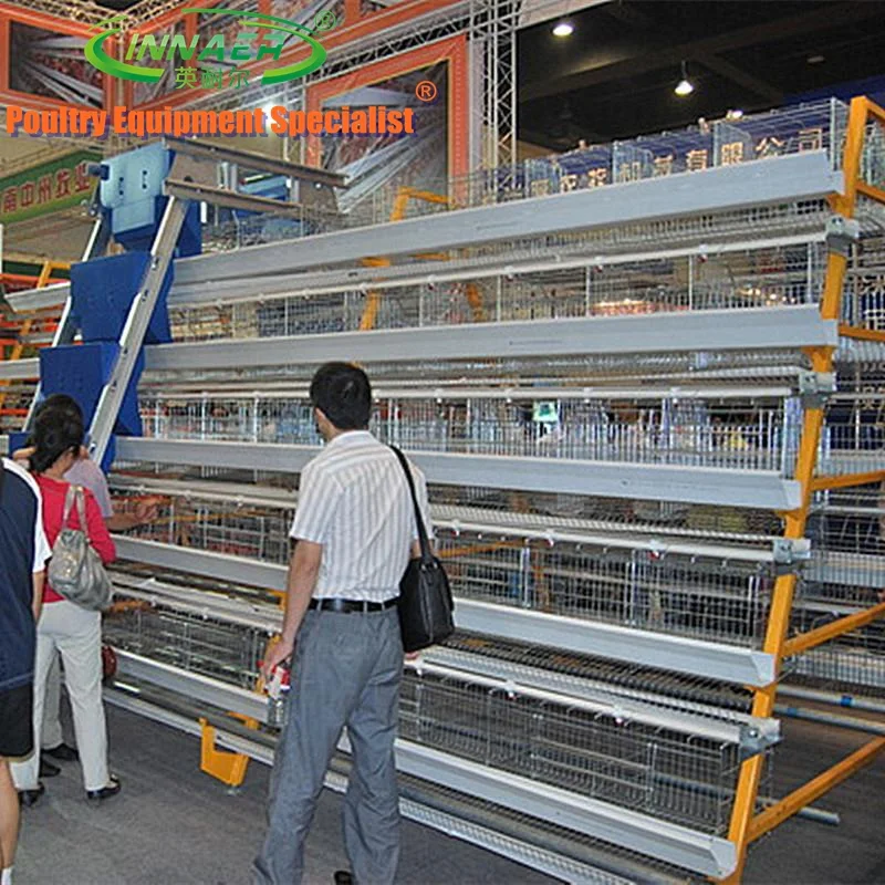 second hand layer poultry cages