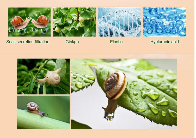 Rolanjona ageless magic snail nourish skin night cream best night face cream