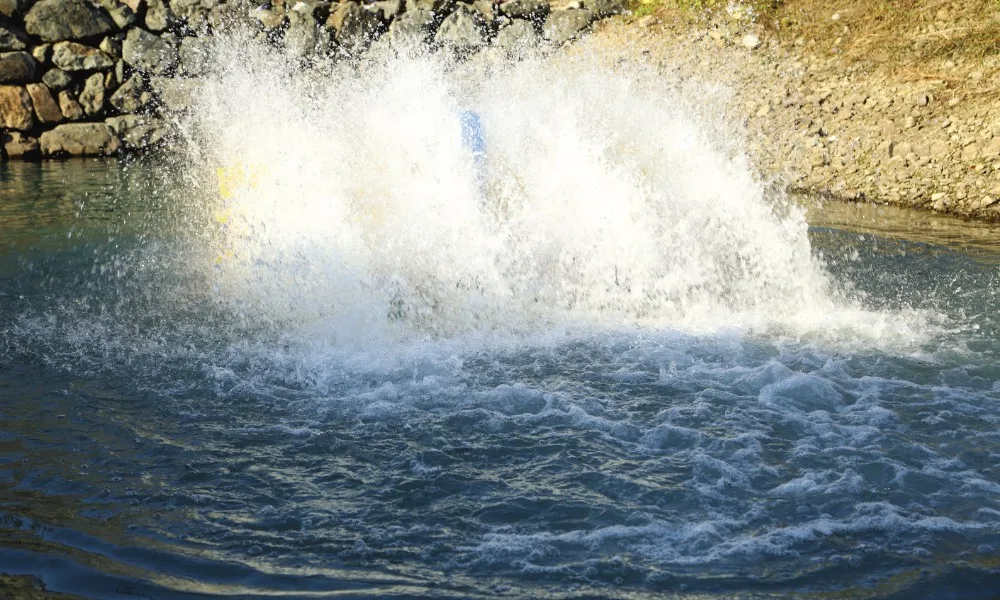 Floats 2hp fish farming aquaculture aerator aeradores paddel wheel aerator