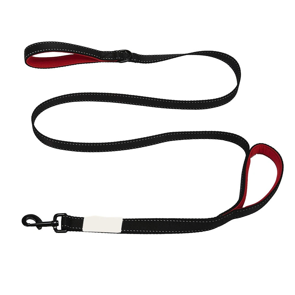 Wholesale OEM Double Handle Nylon Webbing Dog Leash Pet Lead Leash Heavy Duty Metal Clip