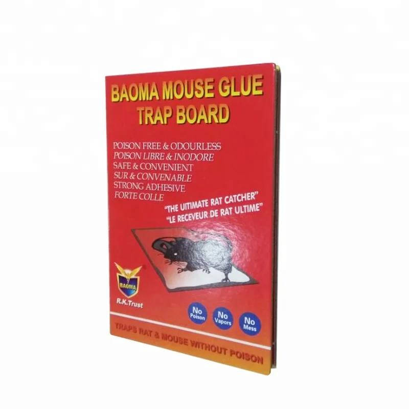 
Hard-Board rat mouse trap glue 