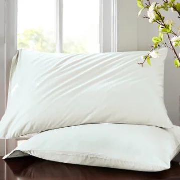 Good for Healthy Excellent Silkworm Excrement Custom Pillow