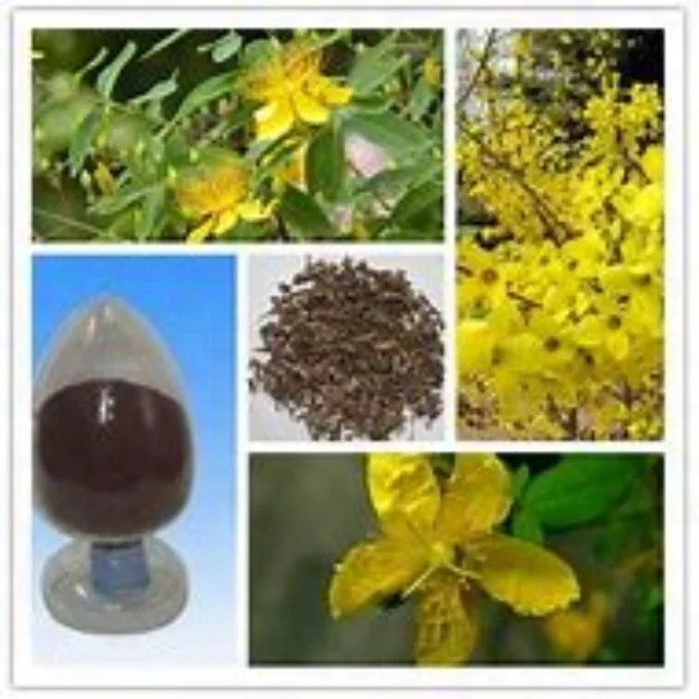 Hypericum Perforatum P.E.