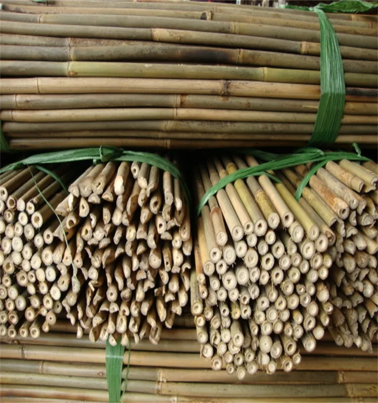 WY T-001 for home adornment natural eco-friendly bamboo reed poles
