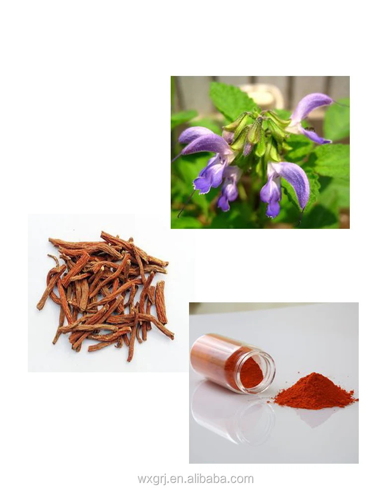 Высококачественный натуральный органический порошок Salvia Miltiorrhiza P.E 5% ~ 20%, OEM-сервис