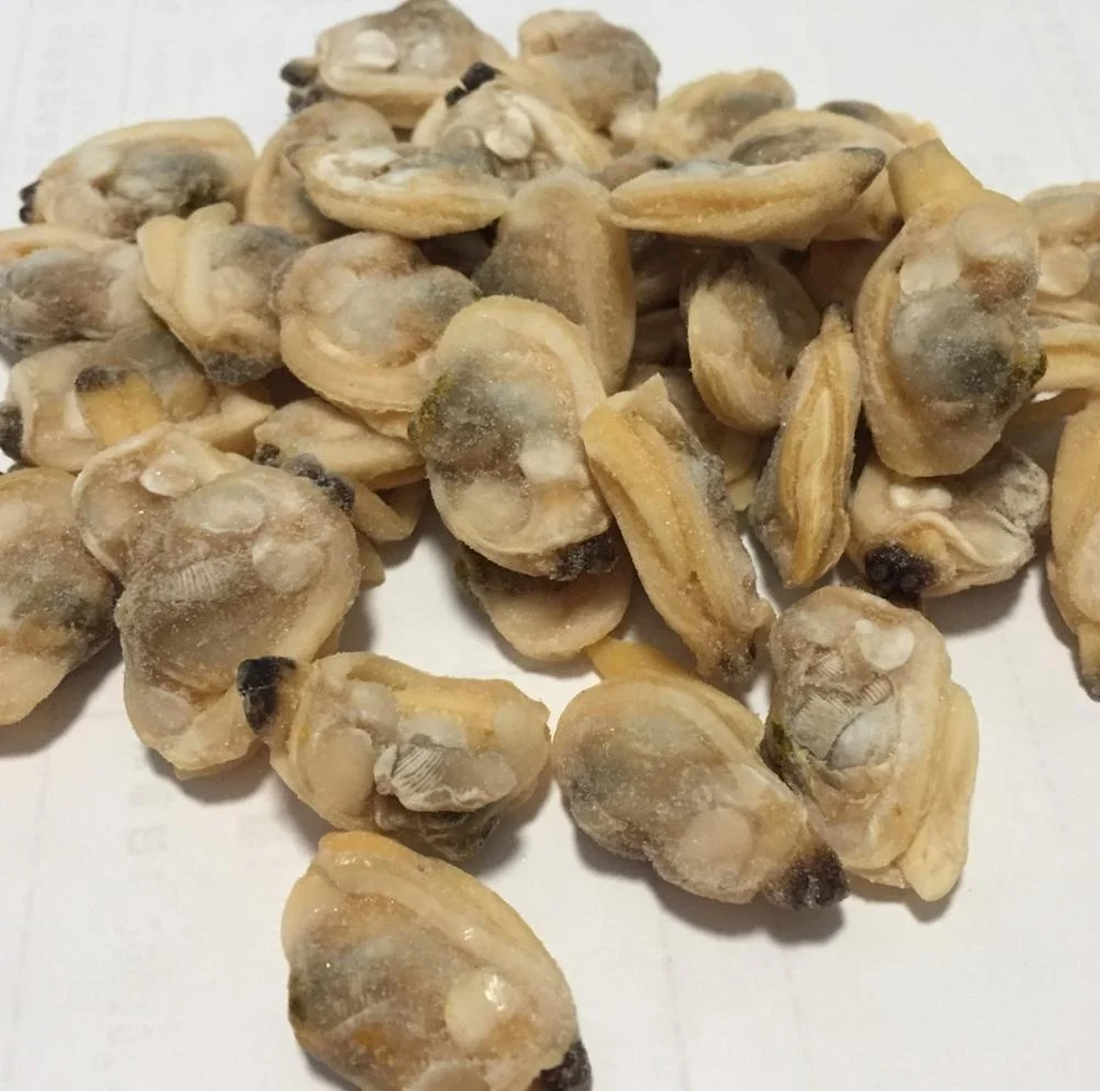 Wholesale Frozen Natural IQF Frozen Cooked Short Necked Clam Meat