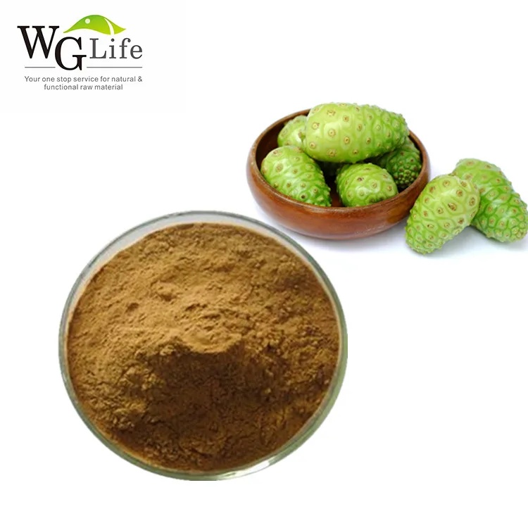 Hot Product Morinda Citrifolia Noni Dried Concentrate Juice Powder Plant Extract