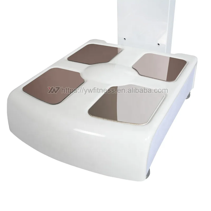 Commerical Gym Human-body  Analyzer YW-F001 Bodybuilding Weight test