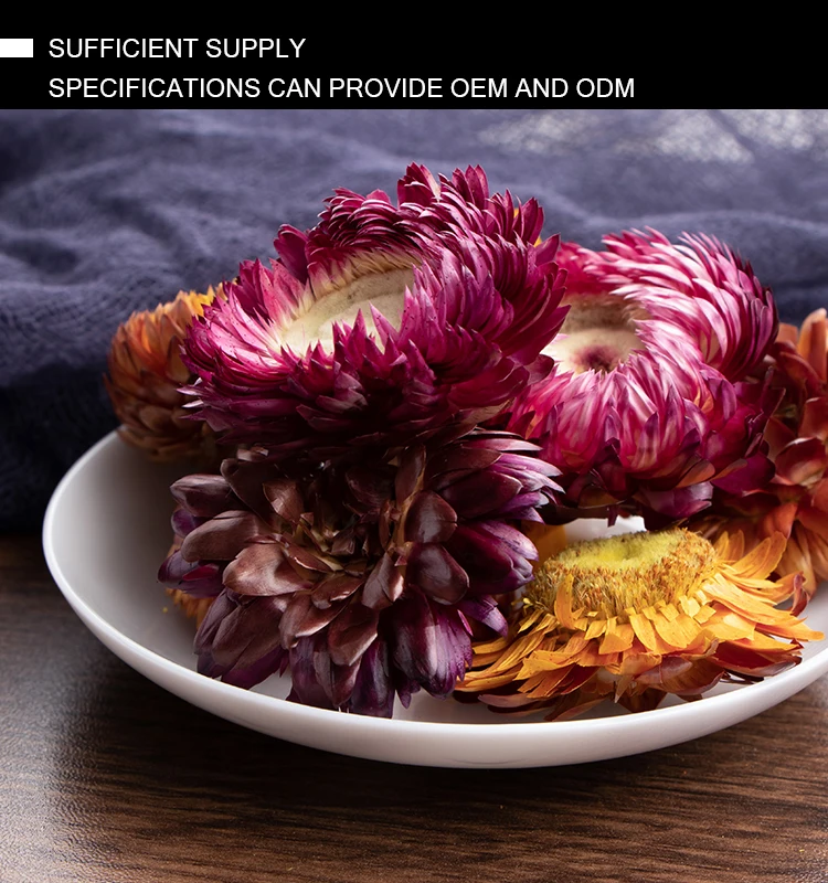 
High Quality Bracteantha Bracteata Strawflower Colorful Chrysanthemum Tea 