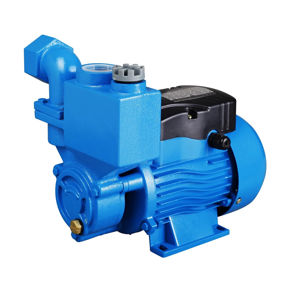 220V 50HZ 0.5Hp Iraq Hot Sale Wholesale 1 Inch Automatic Water  Pump With Handle
