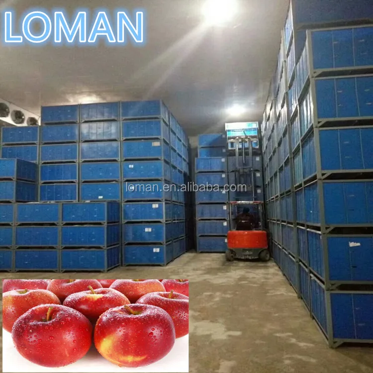 Холодное хранение яблок в Узбекистане