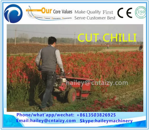 Corn/alfalfa/soybean/mint/jute/kenaf/wheat/maize/chilli/paddy harvester