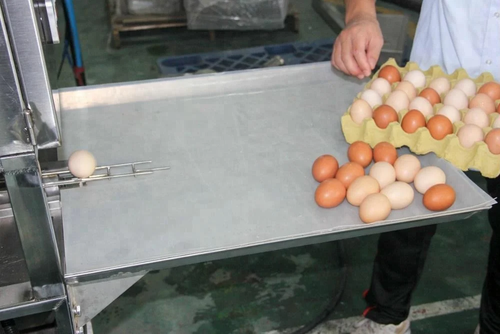 2020 new product egg washing machine egg processing equipment
