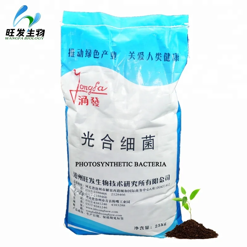
Photosynthetic Bacteria Culturing Seaweed Microbial Aquaculture Ball Water Purifier 