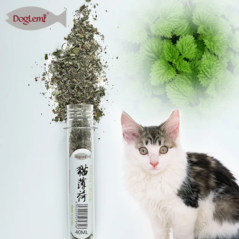 
Cat Catnip Toys Fresh Catnip Organic Nature Bottle Catnip Oil 45ML 