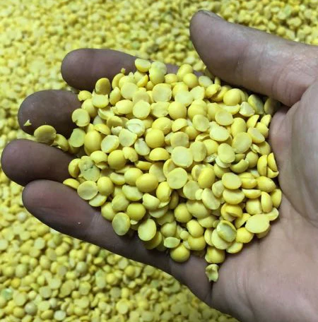 Заводская машина для производства соевых бобов и широких бобов нового типа