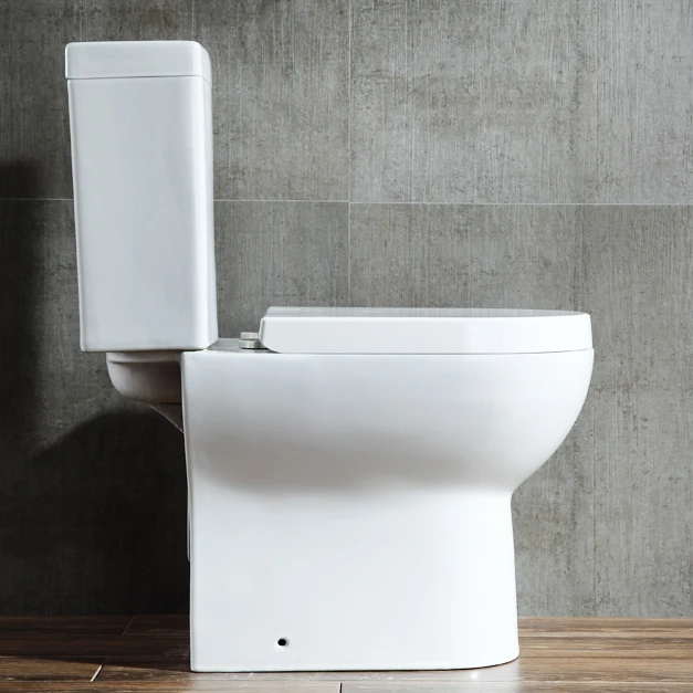 
Amazon Hot Sanitary Ware Bio Modern Ceramic Guangzhou Siphonic bathroom Wc 2 piece toilet 