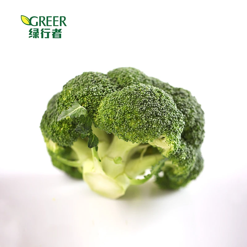 Broccoli fresh broccoli fresh broccoli fresh vegetables