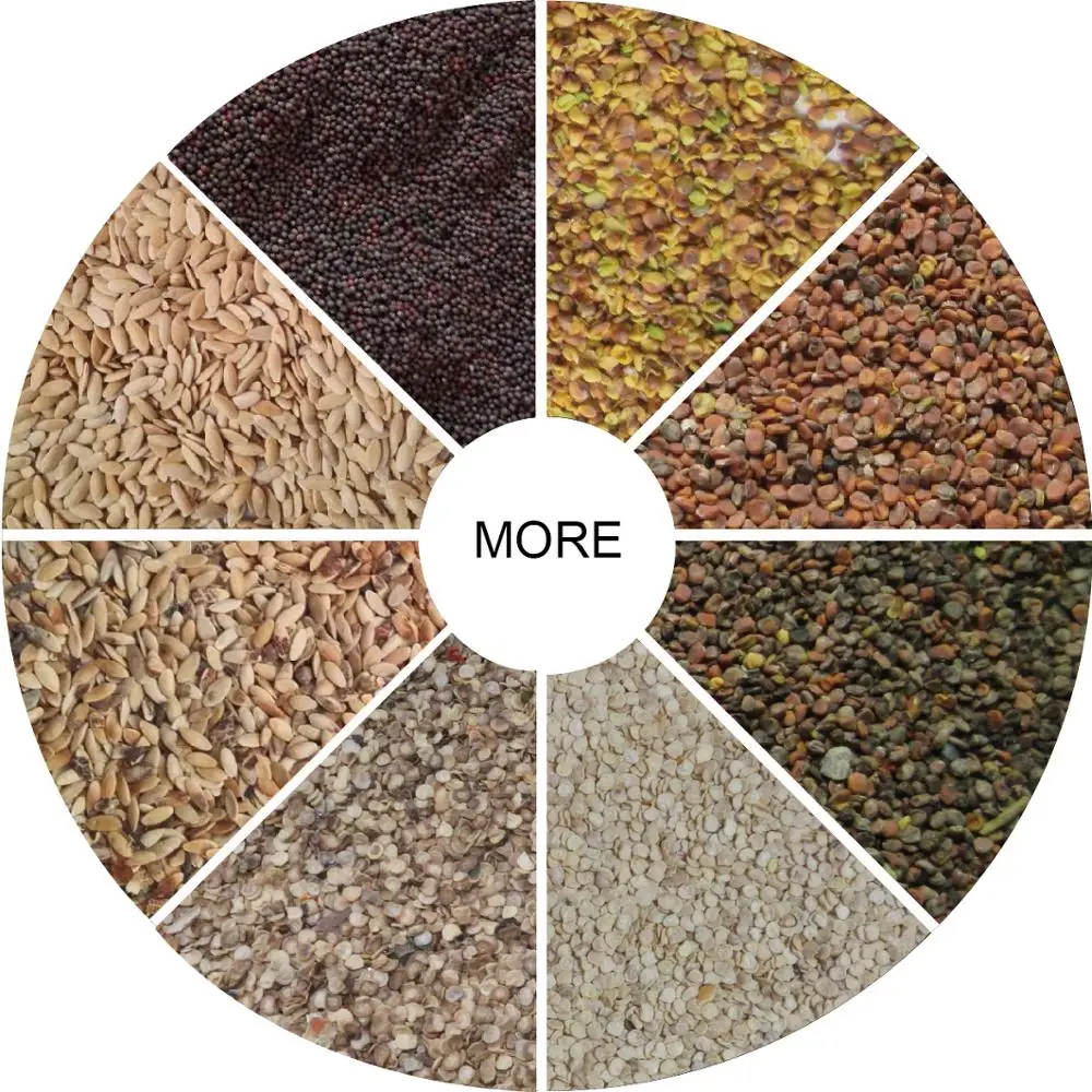 Melon Seed Processing Grader Machine Hemp Seeds Sorting Machine