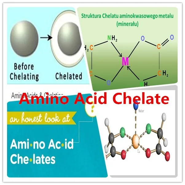 selenium amino acid chelate
