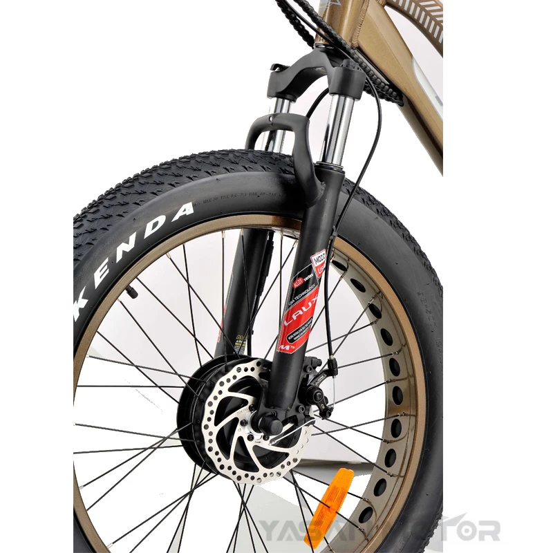 250W XOFO Motor Front Drive 3 Big Wheel Electric Bike