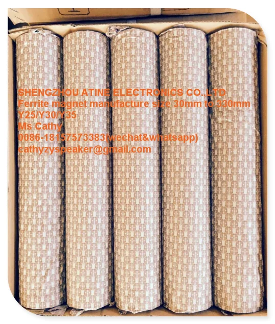 
Ring Ferrite Speaker Magnet 