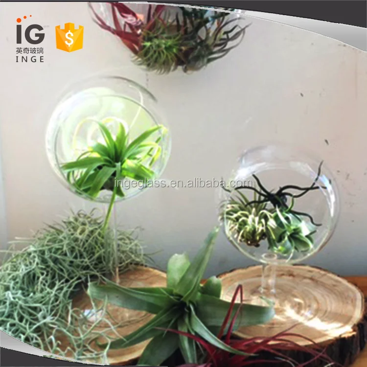 4' Glass Planter Terrarium Globe, Desk Air Plant Terrarium Kit, Glass Terrarium with Stand