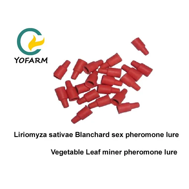 Приманка Liriomyza sativae для уничтожения растительных листьев