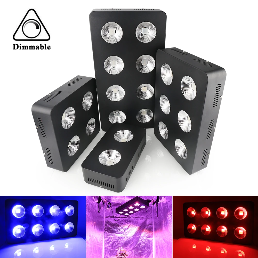 ZW0223-ZW0226 (11).jpg