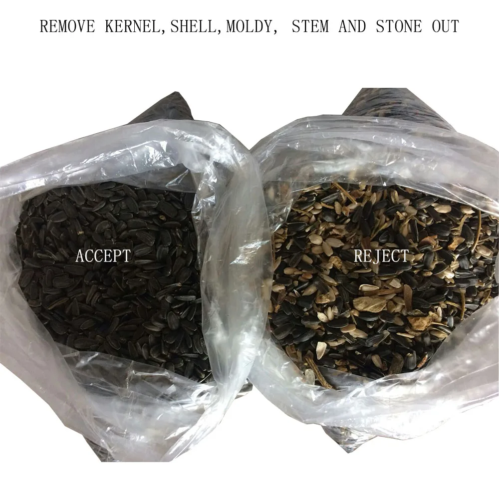 Sunflower Seed Cleaning Equipment Melon Seed Sorting Machine in Uzbekistan