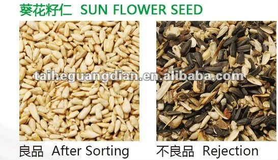 Sunflower seeds sorting milling machine ccd color sorter