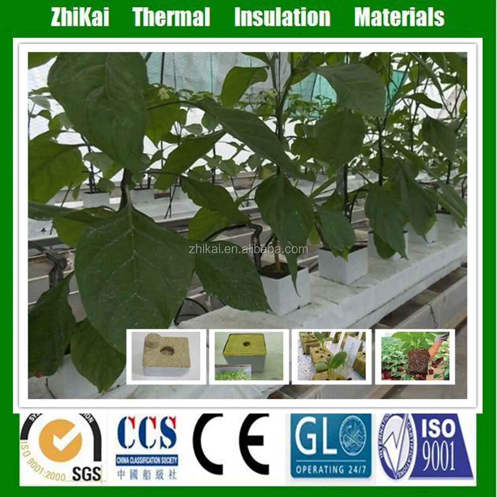 12 x 12 x 12 гидропоники фермы растут средний rockwool куб