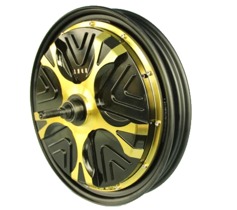 Permanent magnet electric hub dc motor