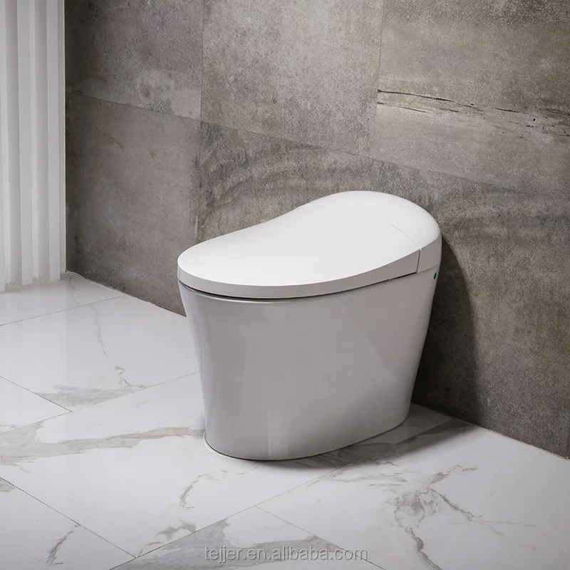 Electric leakage protection slow drop seat smart intellectual toilet