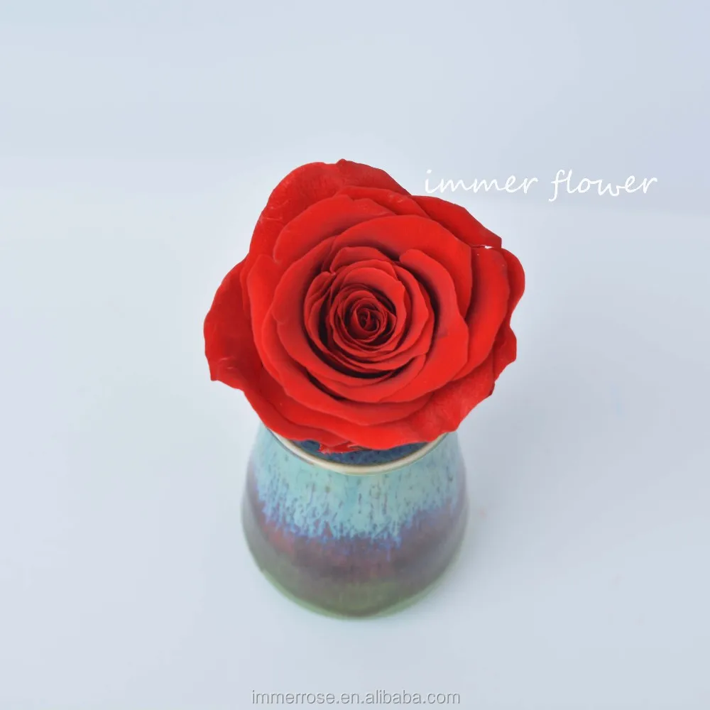 Luxury forever real touch preserved flower preserved roses holland