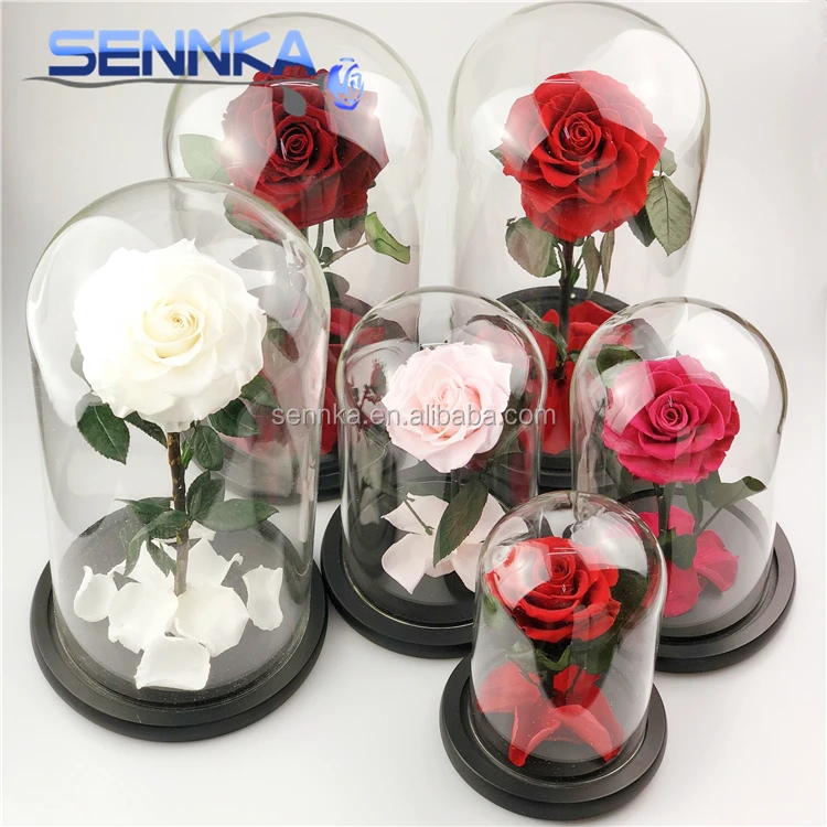Handmade Preserved Rose in Glass Dome 100% Natural Preserved Flower