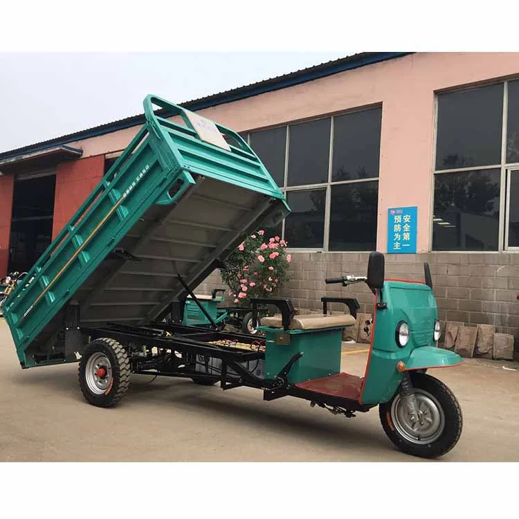 Kenya Cargo Tricycle Adult Big Electric Tricycle Cargo
