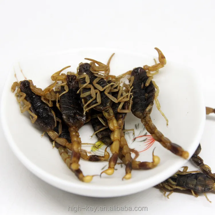 
10016 quan xie Pure Natural Chinese Medicine Herb Scorpion Powder 