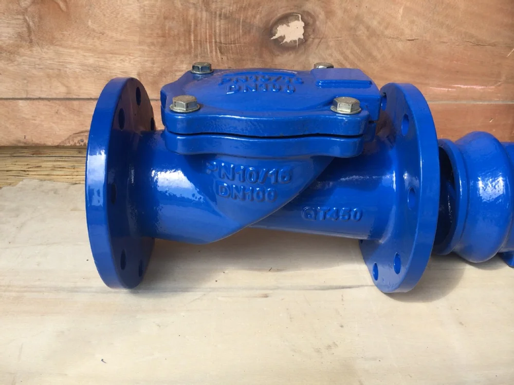 Rubber Disc Check Valve Ductile Iron Water OEM Normal Temperature General 3 Years Check One Way Rubber Duckbill Reducing Valve