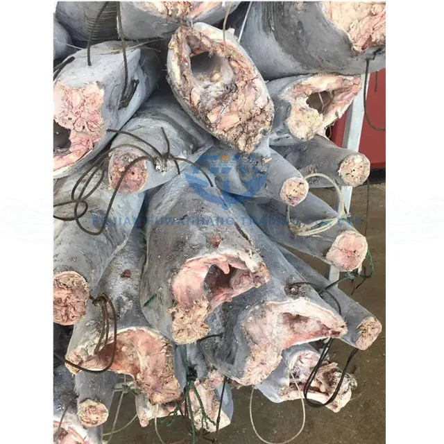 
frozen makaira mazara blue marlin fish in deeper tropical water 