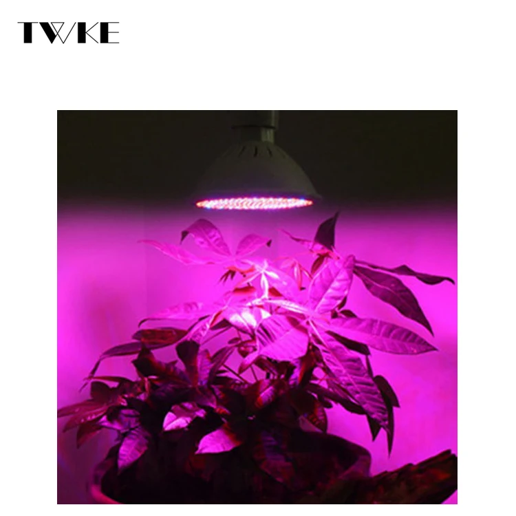 
E27 Par Light 50W Led Plant Grow Light Full Spectrum 