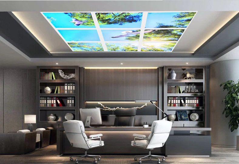 2x2 FT Sky  Blue Led Ceiling Lighting fixture  Customized Sky Panel