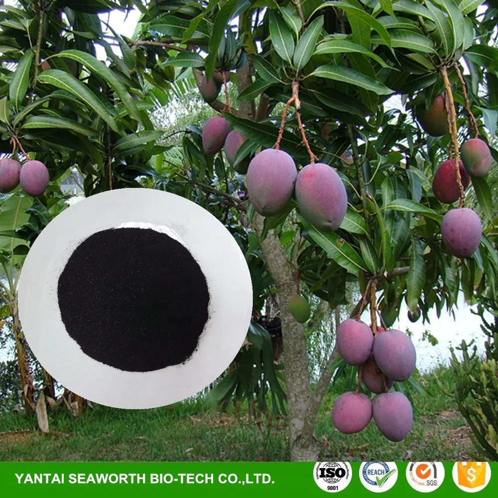 Environmental seaweed extract powder/flake for cereals