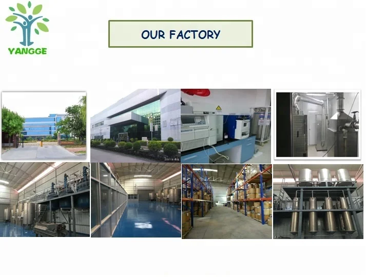 
Natural high purity curcumin 98% turmeric root extract 