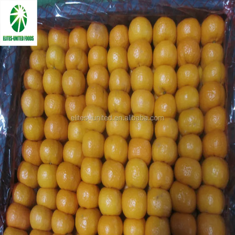 Wholesale new harvest fresh citrus sweet mandarin oranges