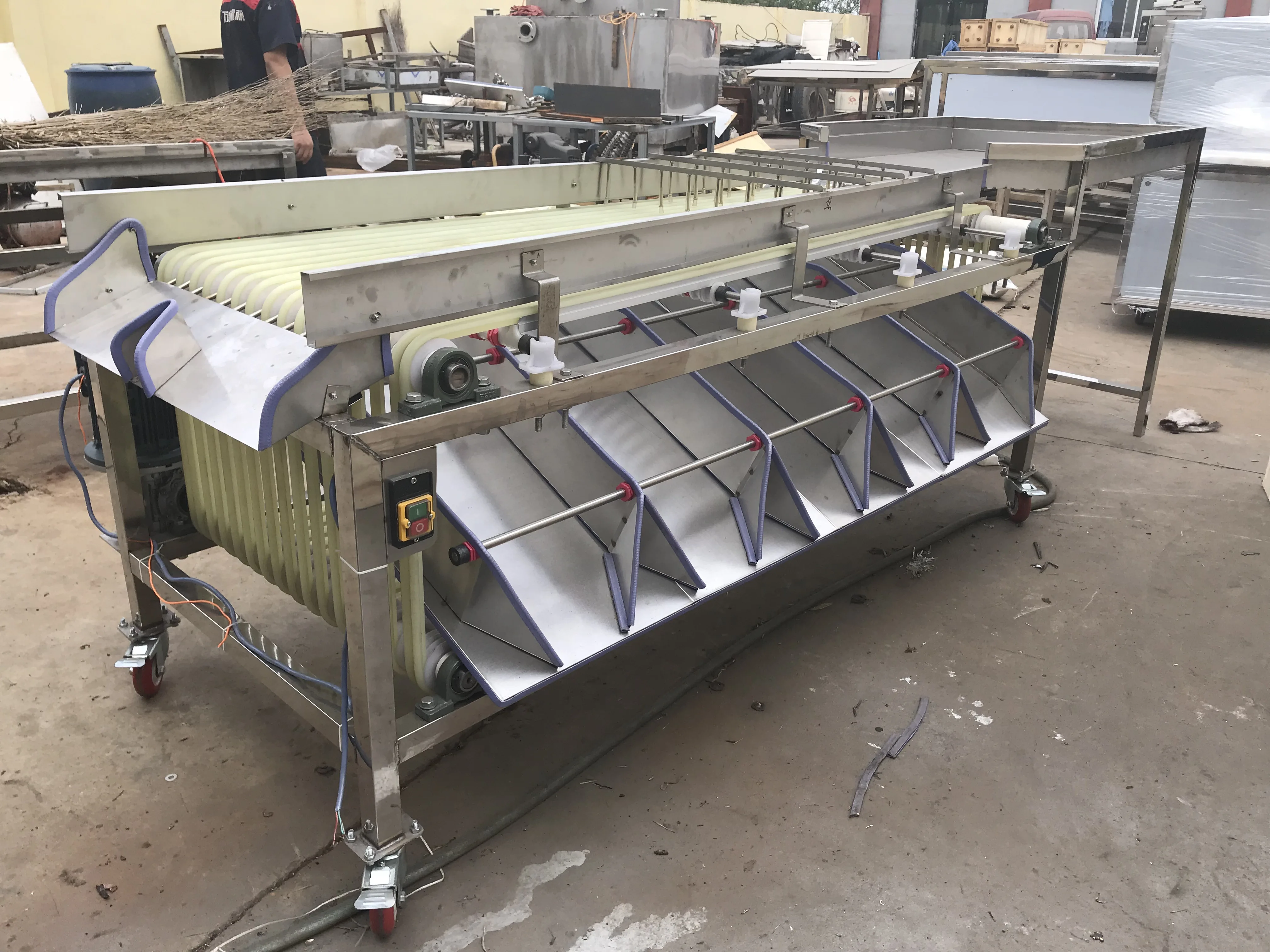 
Medjool date grading machine automatical sorted jujube dattes plums and similar fruit processing 